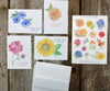 Mixed Blooms Notes