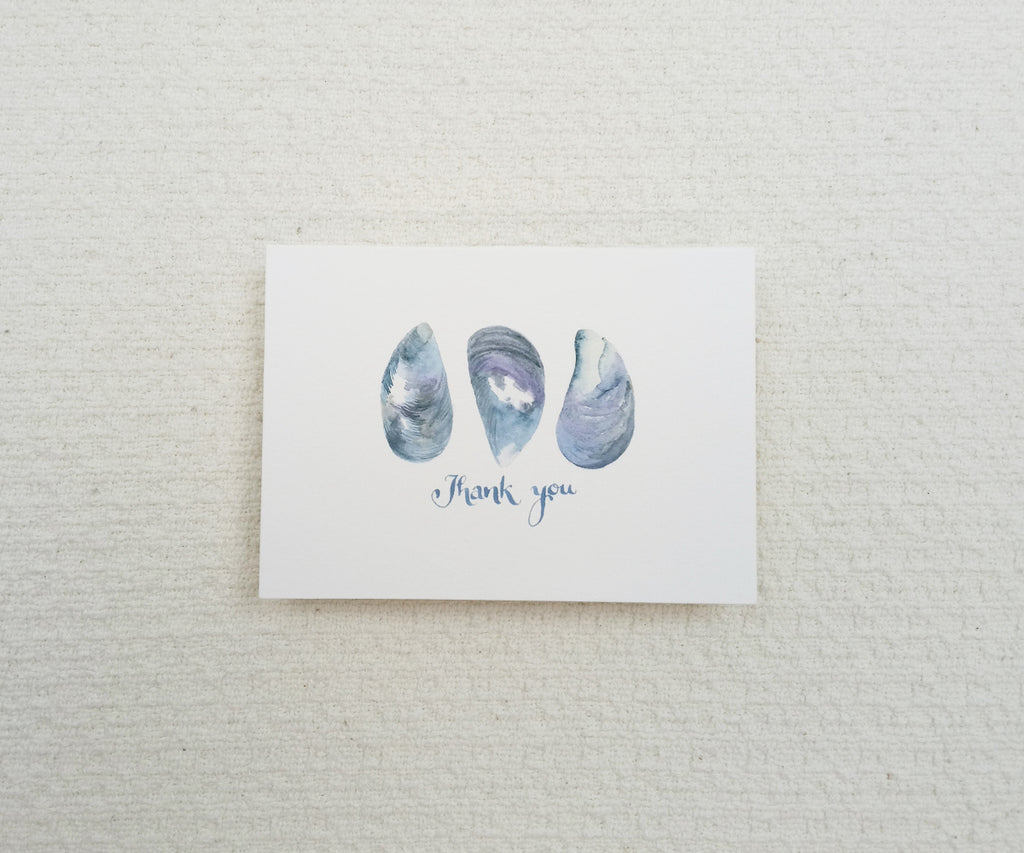 Mussel Shells Thank You Notes