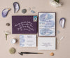 Mussel shell background wedding invitation