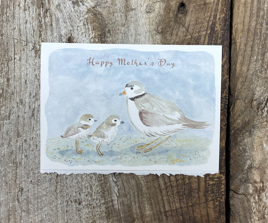 piping plovers card