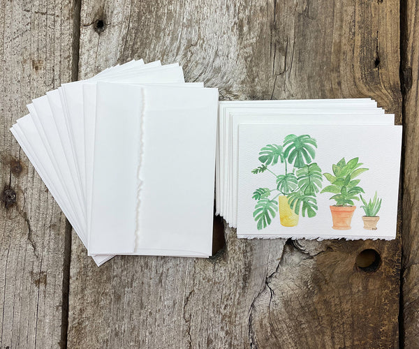 plants note cards