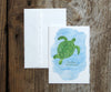Sea Turtle Notes